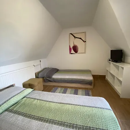 Borbarat Vendeghaz Apartmán *